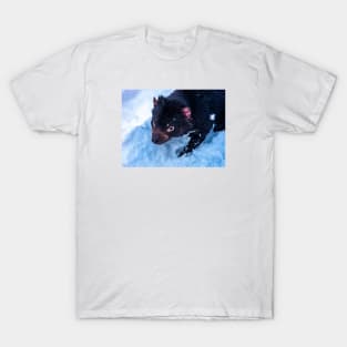 Tasmanian Devil T-Shirt